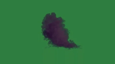 Professional Fire Looping Green Screen Element Stock Footage 338017371