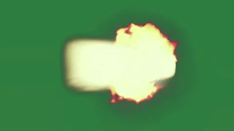 Professional Fire Moving Green Screen Element Stock Footage 338015165