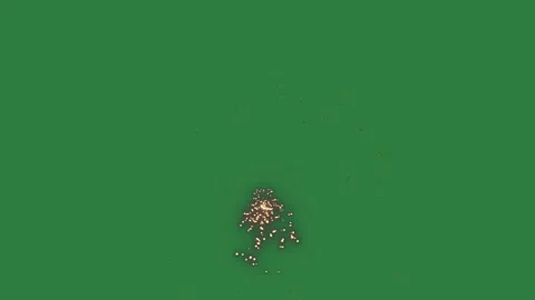 Professional Fire Professional Green Screen Element Stock Footage 338018001