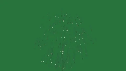 Professional Fireworks Moving With Dots Element Stock Footage 338013833