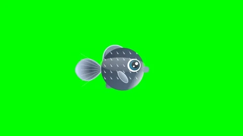 Professional Fish Animated Green Screen Element Stock Footage 336960489