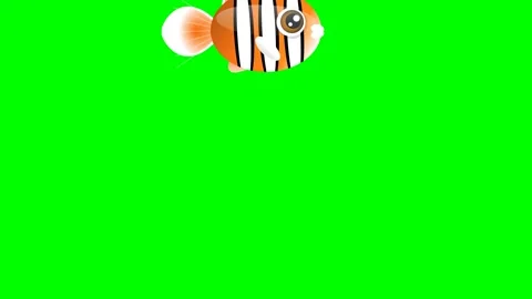 Professional Fish Dynamic Green Screen Element Video stock 336959256
