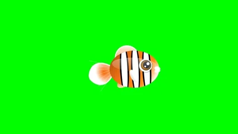 Professional Fish Looping Green Screen Element Video stock 336959266