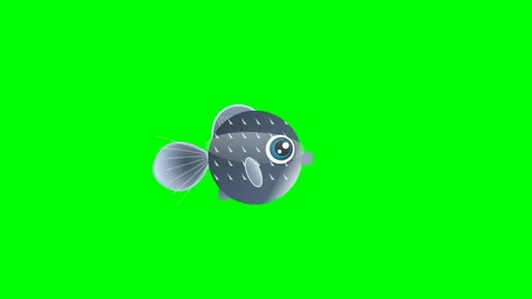 Professional Fish Looping Green Screen Element Stock Footage 336960516