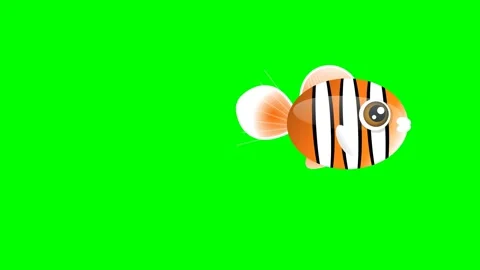 Professional Fish Looping with Striped Green Screen Element Video stock 336959272