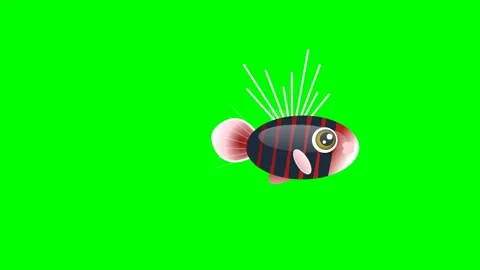 Professional Fish Professional Green Screen Element Video stock 336959157