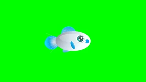 Professional Fish Professional Green Screen Element Stock Footage 336960518