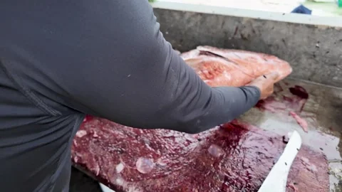 Professional Fisherman Processing Large Fresh Snapper at Local Fish Market Stock Footage 341375540
