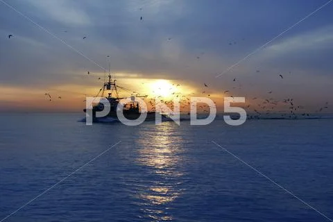 Professional fishing boat seagull on sunset sunrise Stock Photos