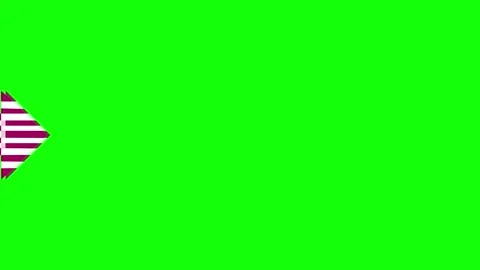 Professional Flag Green Screen Waving Clip 库存影片 342789012