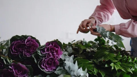 Professional florist arranges flowers to create a bouquet Stock Footage 86534766