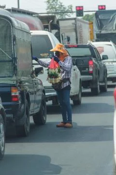 Professional Florists1 Stock Photos