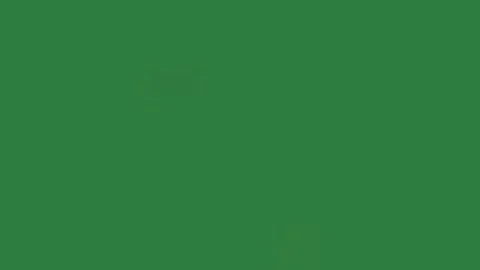 Professional Flower Motion Element Stock Footage 338017359
