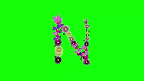 Professional Flowers Animated with Shape Green Screen Element Stock Footage 337996346