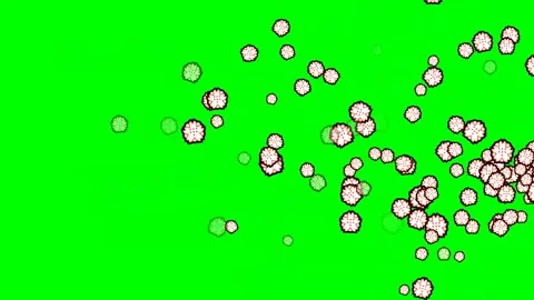 Professional Flowers Dynamic Green Screen Element Video stock 337397167