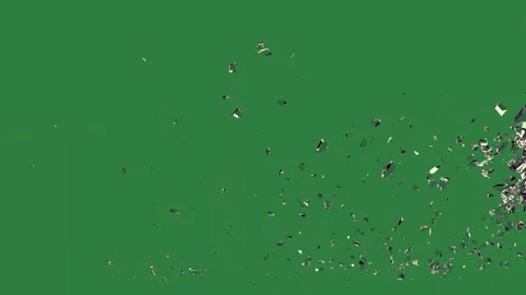 Professional Flowers Dynamic Green Screen Element Stock Footage 338017722