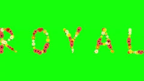 Professional Flowers Dynamic with Word Green Screen Element Stock Footage 337996673