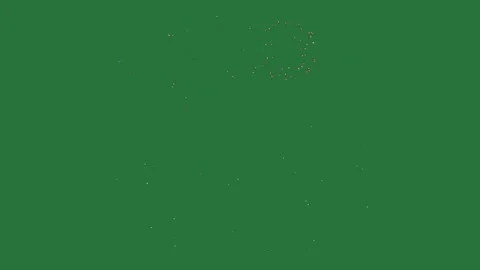 Professional Flowers Looping Green Screen Element Stock Footage 338013669