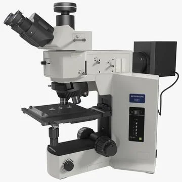 Professional Fluorescence Microscope 3D Model