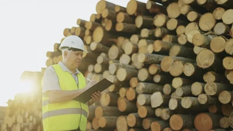 Professional forestry worker checks logs. Slow motion Stock Footage 242625010