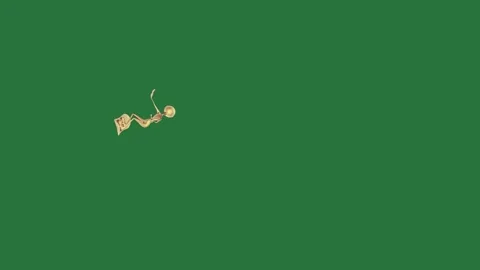 Professional Frame Moving With Figure Element Stock Footage 338017776