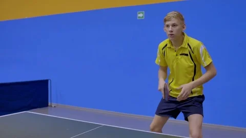 Professional Game of Table Tennis Stock Footage 70045832