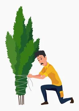Professional gardener binds tree. Man working in backyard. Colored flat vector Stock Illustration
