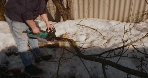 A professional gardener cuts a fallen tree branch with an electric chainsaw in a Stock Footage 331438984