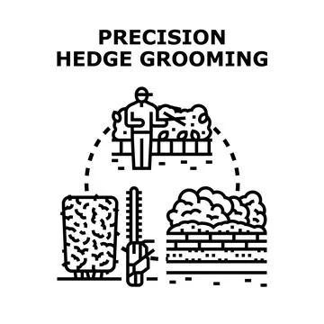 Professional gardener performing precision hedge grooming service Stock Illustration