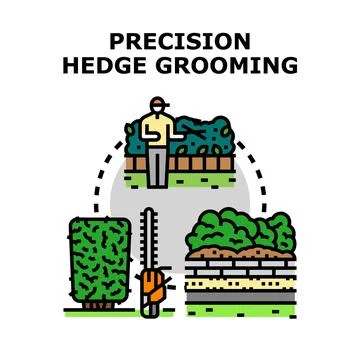 Professional gardener performing precision hedge grooming service Stock Illustration