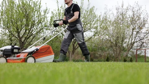 Professional gardener in protective apparel is mowing green grass lawn using Stock-Footage 244456360