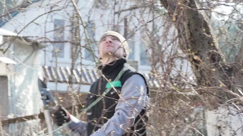 Professional Gardener Pruning Branches of Fruit Tree with Loppers in Garden Stock Footage 339280706