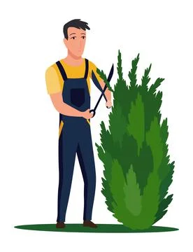 Professional gardener pruning tree with pruners or garden shears. Man working Stock Illustration