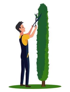 Professional gardener pruning tree with pruners or garden shears. Man working Stock Illustration