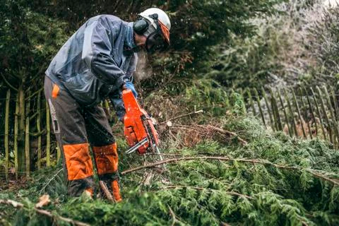 Professional gardener using chainsaw Stock Photos