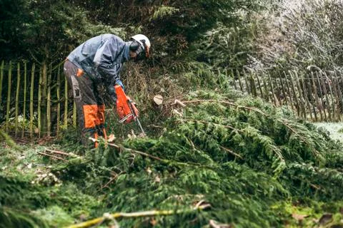 Professional gardener using chainsaw Stock Photos