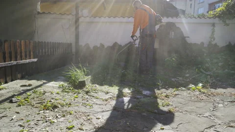 Professional gardener using string trimmer to cut grass Stock Footage 143698112
