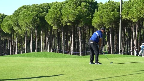Professional Golfer On Golf Course Stock Footage 121602378