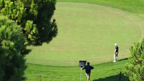 Professional Golfer Playing Golf Stockbeeldmateriaal 121624082