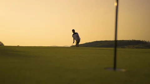 Professional Golfing in golf course chip shot hitting the golf ball Stock Footage 120026152