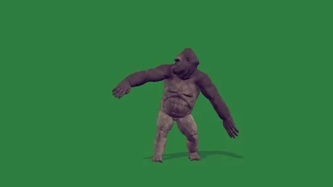 Professional Gorilla Walking Green Screen Element Stock Footage 338017895