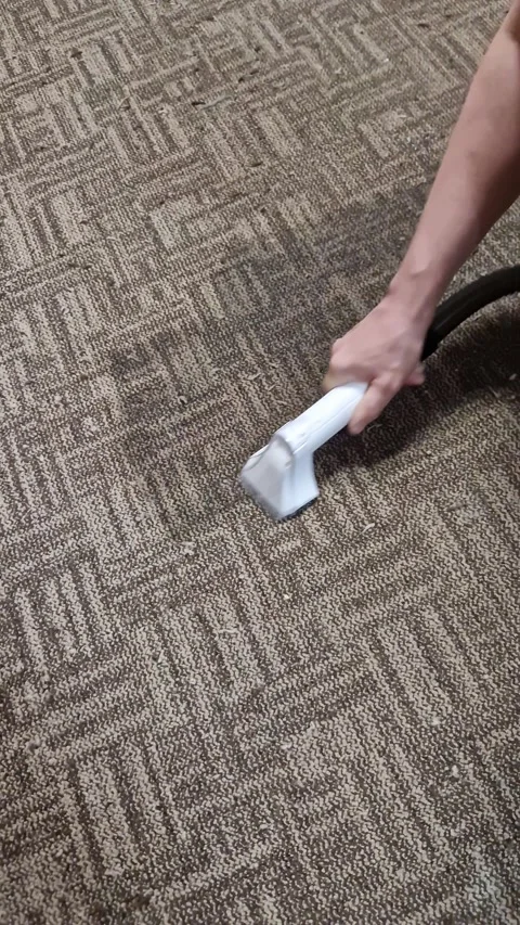 Professional Hand Cleaning Dark Stain on Patterned Carpet with Wet Vacuum Stock Footage 339080714