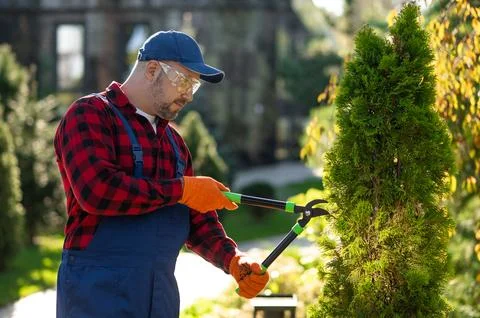 Professional handling pruning tools for maintaining decorative plants Stock Photos