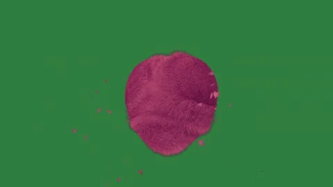 Professional Heart Animated Element Stock Footage 338017162