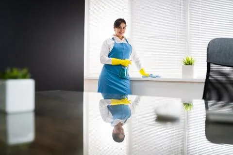 Professional House Cleaning Service. Room Cleaner Stock Photos