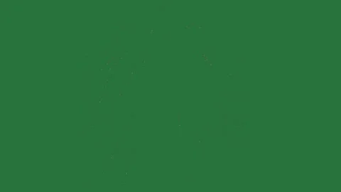 Professional Insect Dynamic Element Stock Footage 338013492