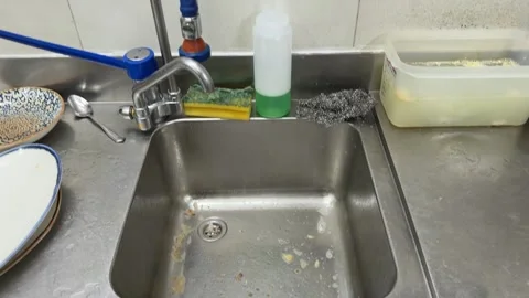 Professional kitchen sink with pre-rinse sprayer 動画素材 344100281