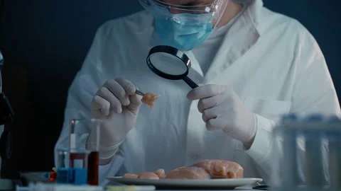 Professional lab worker looking at meat sample through magnifier. Laboratory Stock Footage 154827416