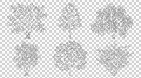 Professional landscape design tree elevation view set isolated Stock Illustration