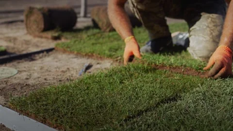 Professional landscape gardener installing sod grass on a sunny day. Stock Footage 334607121